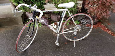 日本盧德摩托車代購(gòu)與二手市場(chǎng)指南 價(jià)格、渠道與購(gòu)買注意事項(xiàng)